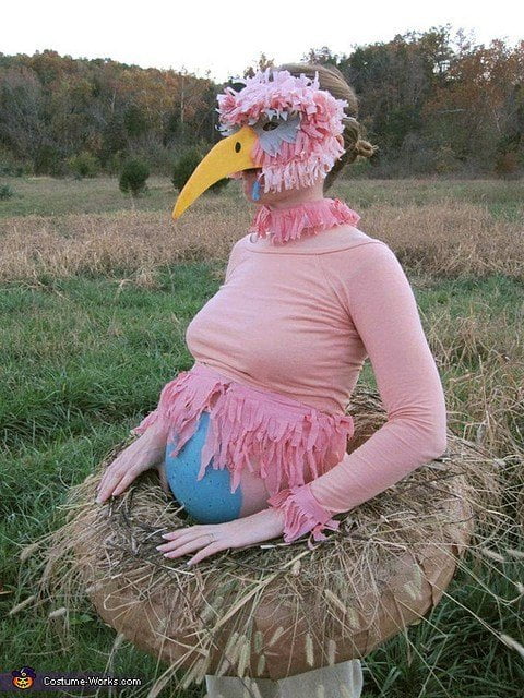 Bird and Egg Pregnancy Costume
