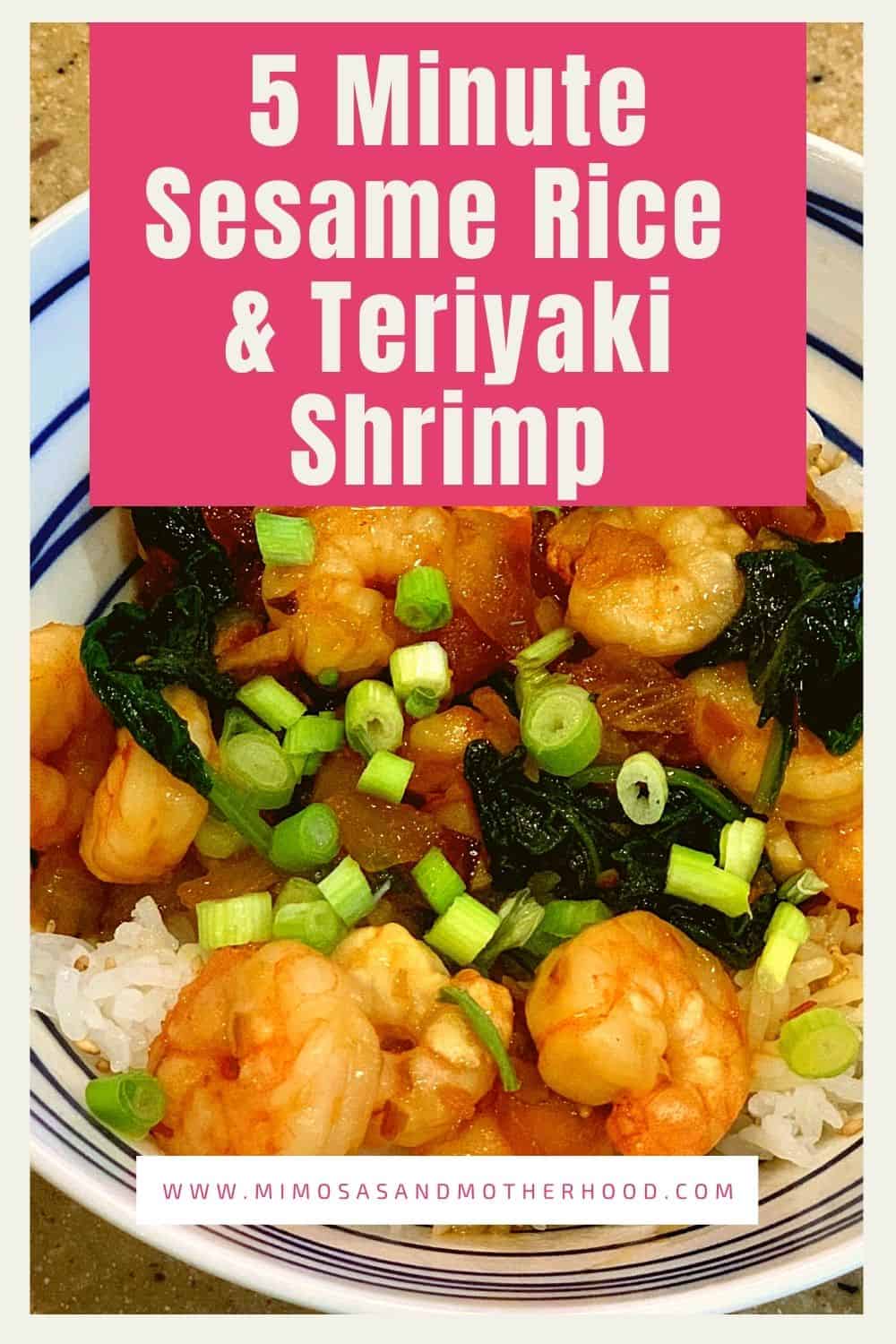 5 Minute Sesame Rice & Teriyaki Shrimp