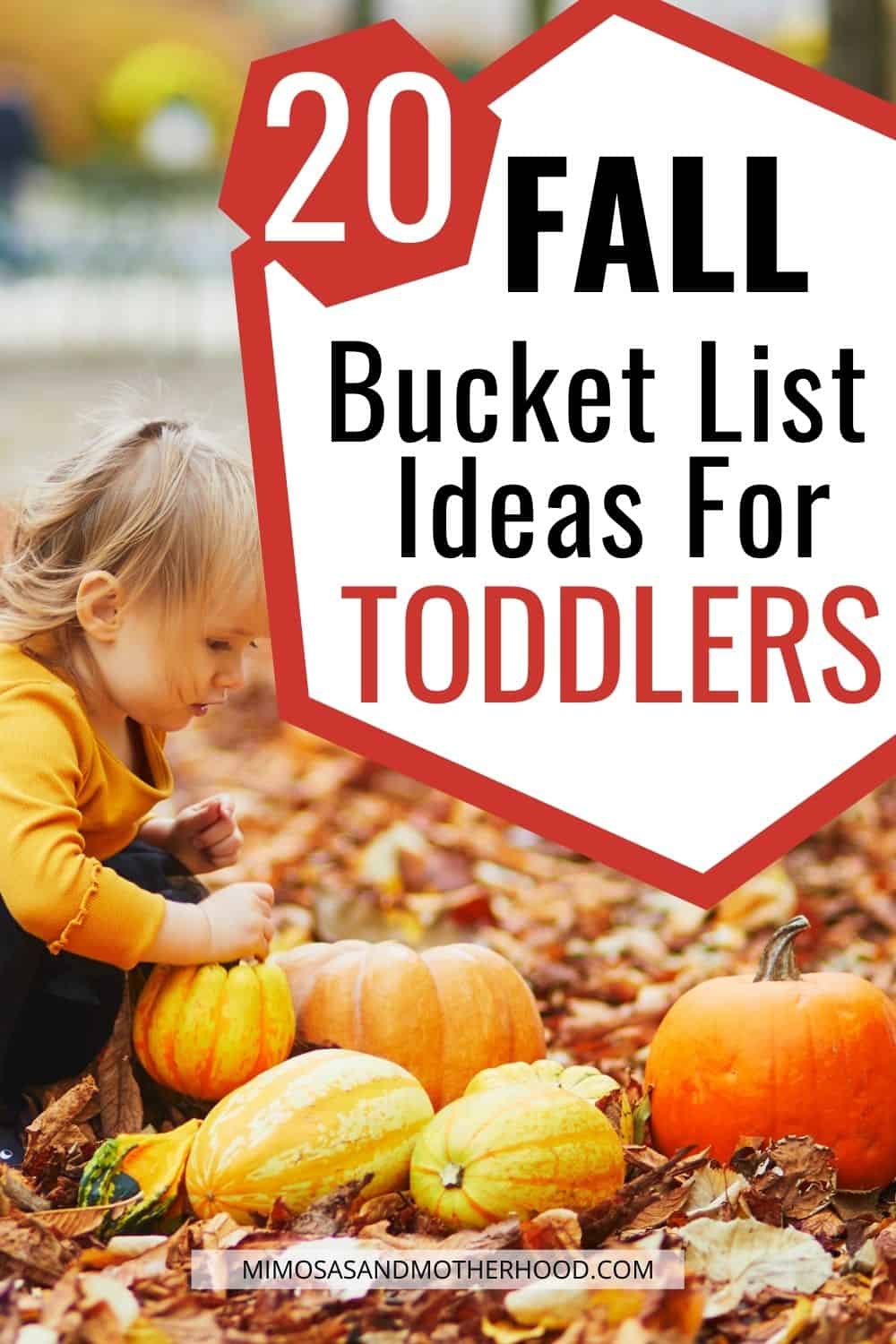 20 Fall Bucket List Ideas for Toddlers