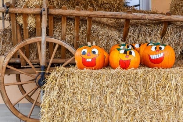 10 Uses for Leftover Halloween Pumpkins