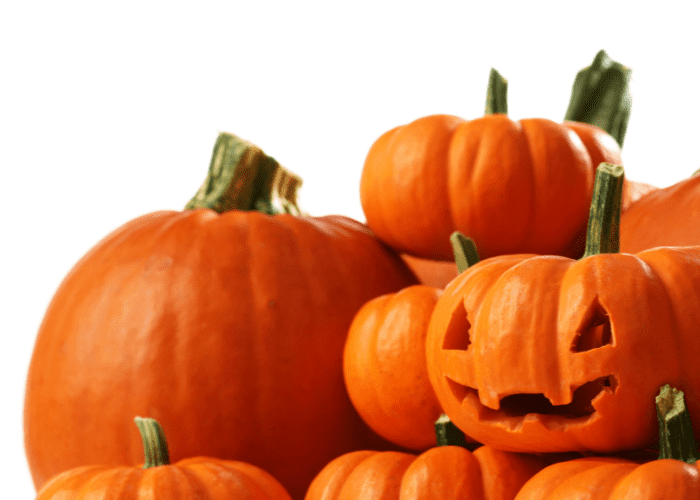 jackolantern sitting on top of a pile of pumpkins