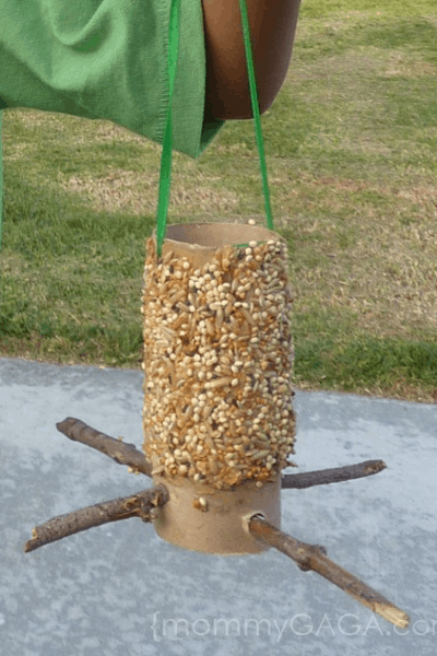 diy bird feeder