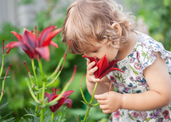 image shows a child smelling a flower