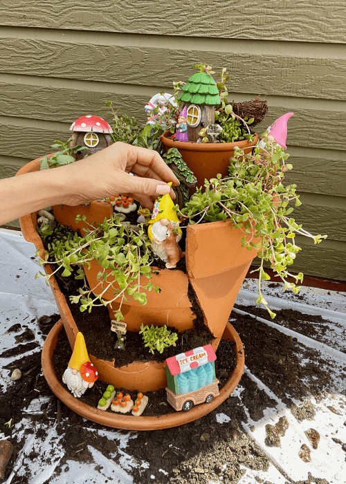 creating a fairy garden