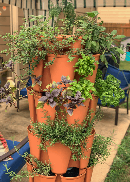 greenstalk garden planter with new growth