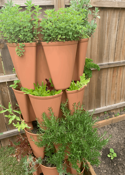 shows the greenstalk planter with plants