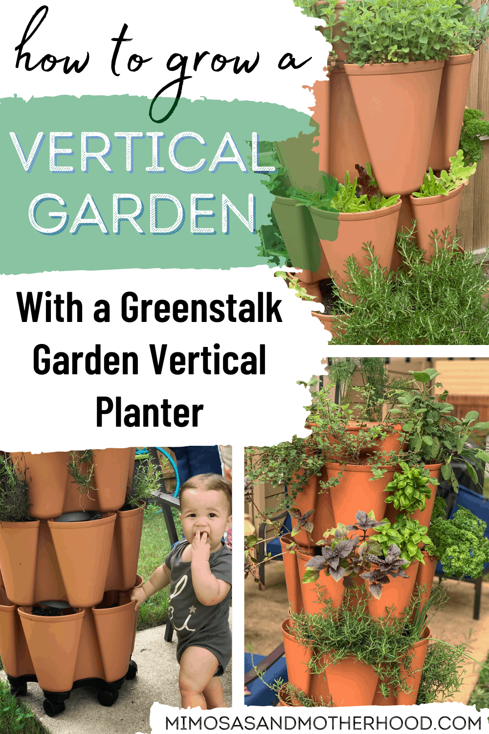 How To Plant A Vertical Garden With a Greenstalk Garden Vertical