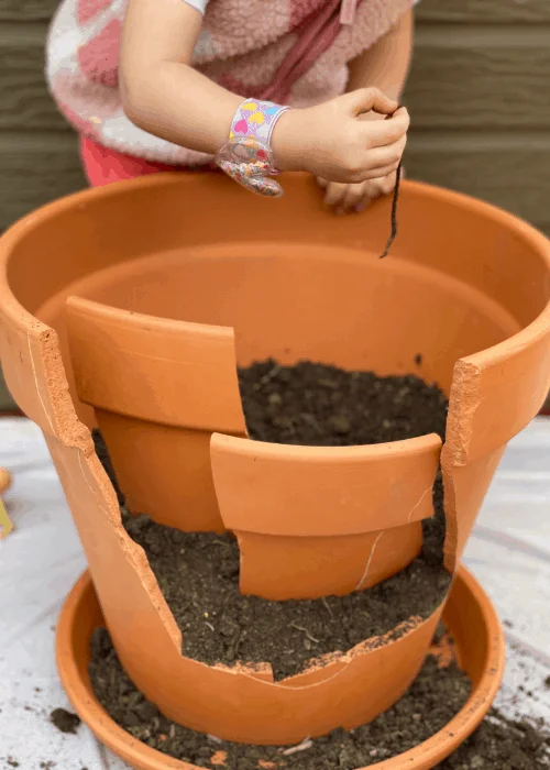 How to Make a Broken Pot Fairy Garden Mimosas & Motherhood