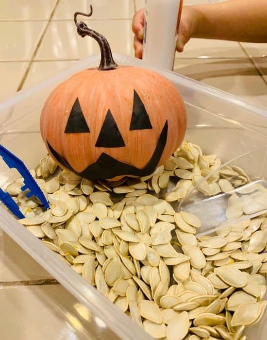 pumpkin seed halloween sensory bin