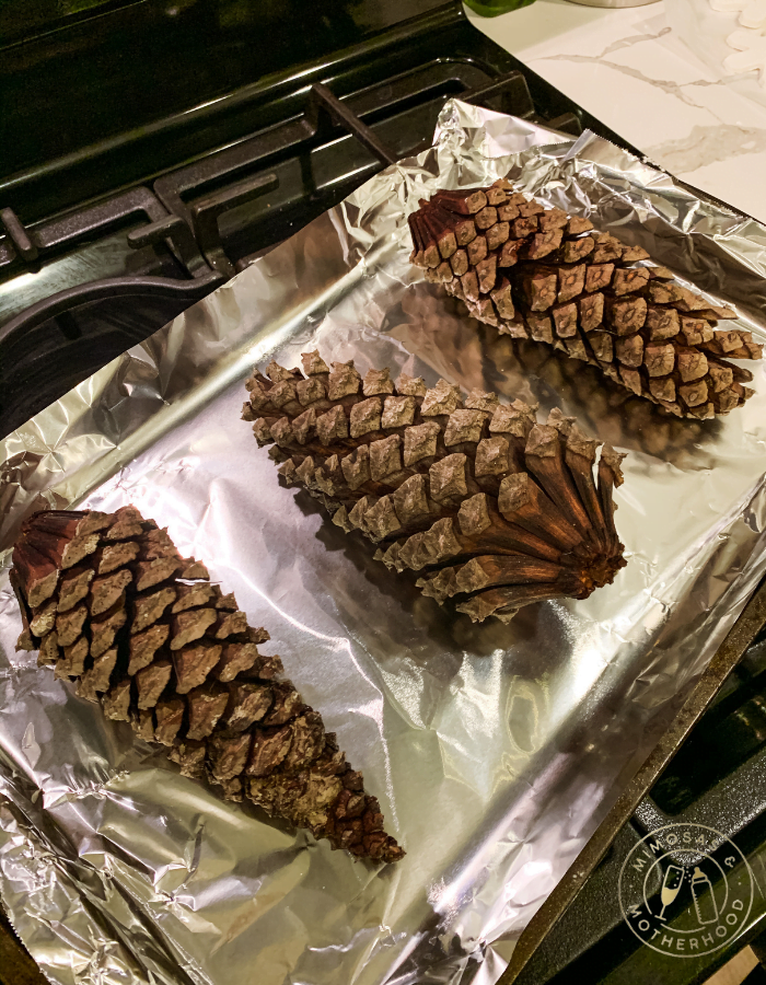 pinecones laying on a baking sheet