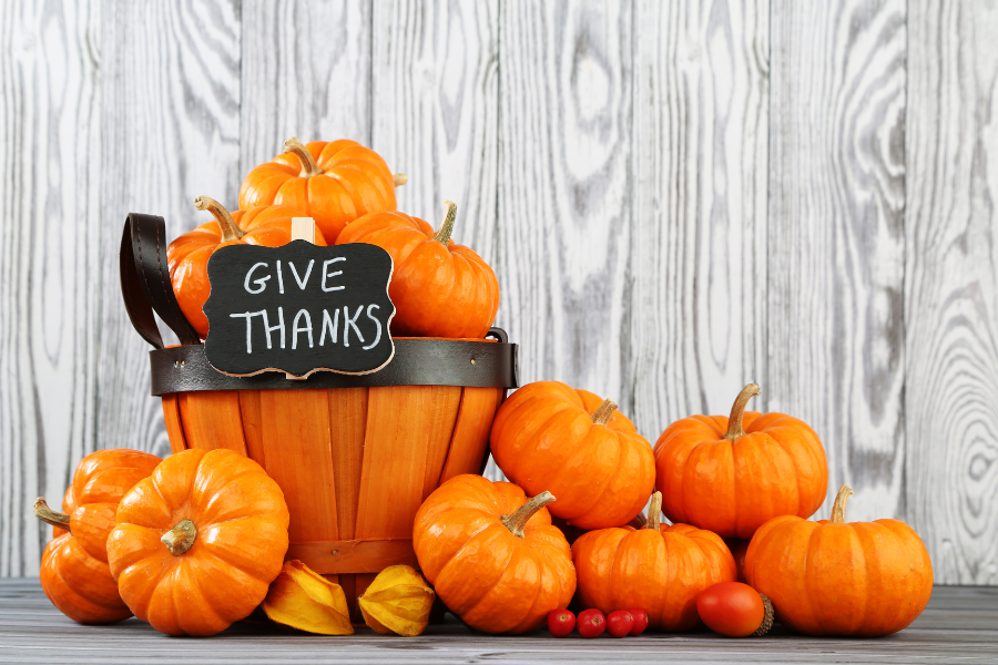 pumpkins with give thanks sign