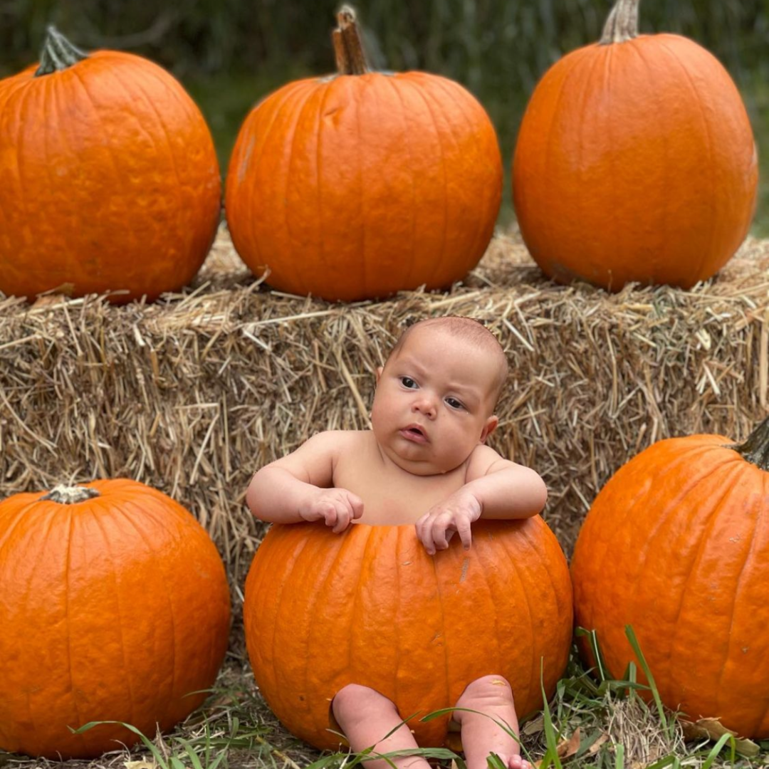 15-cute-halloween-photoshoot-ideas-for-babies-mimosas-motherhood