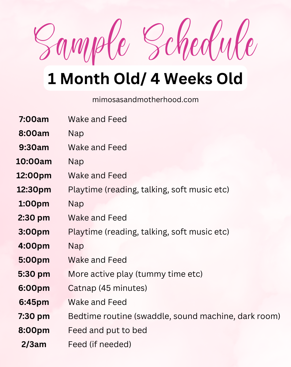 1 Month Old Sleep Schedule Mimosas & Motherhood