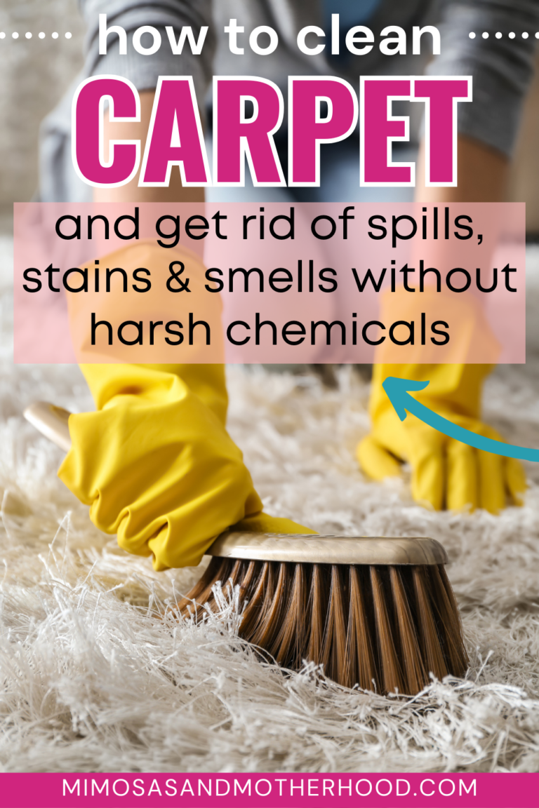 How To Clean Carpet And Get Rid Of Spills Stains And Smells Mimosas How To Clean Carpet And Get Rid Of Spills Stains And Smells Mimosas