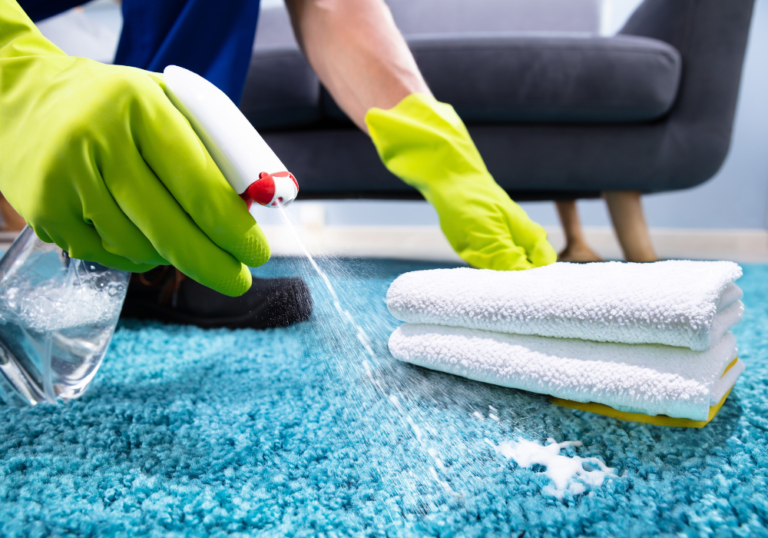How to Clean Carpet and Get Rid of Spills, Stains and Smells Mimosas