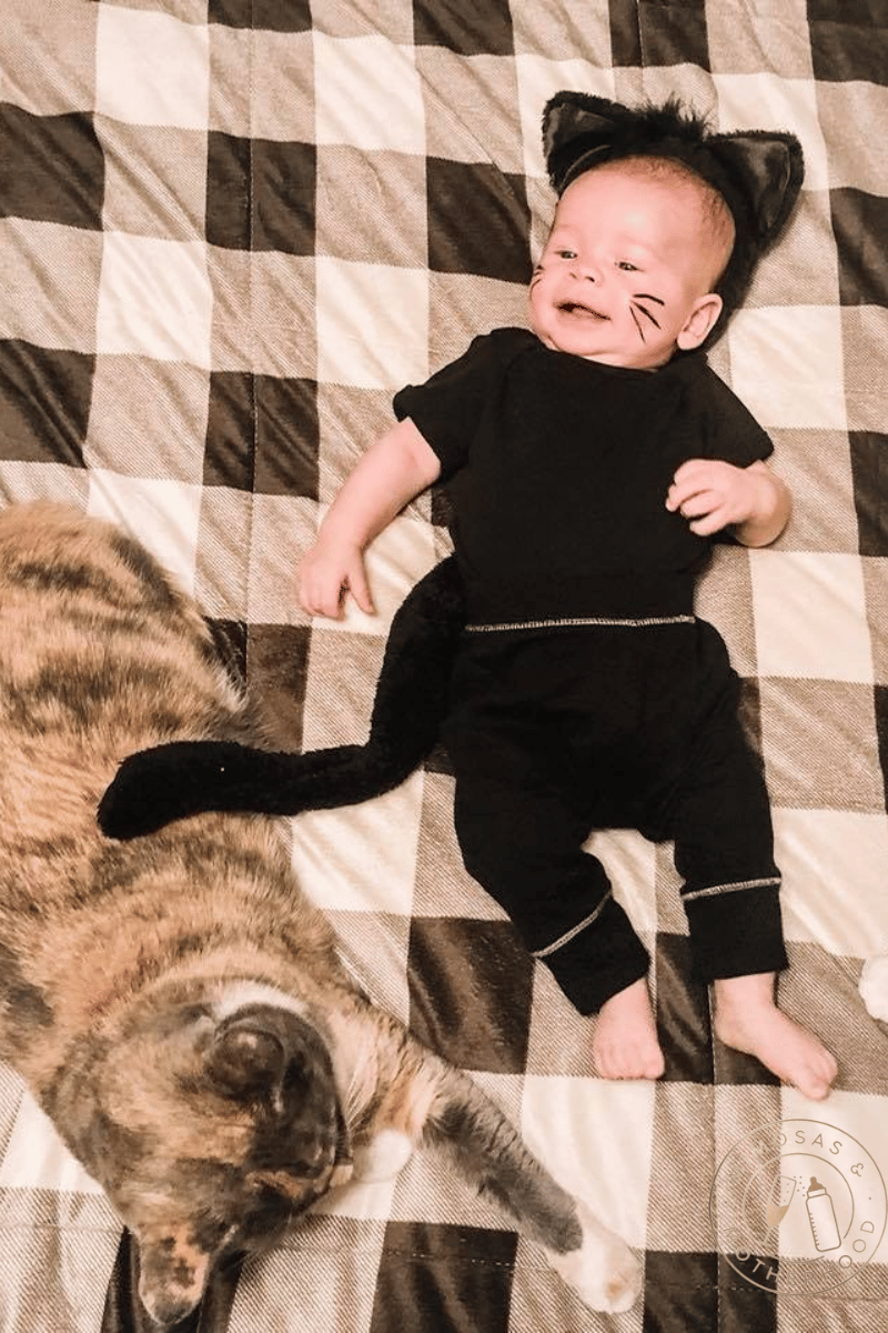 Easy Baby Costumes for Halloween Mimosas & Motherhood