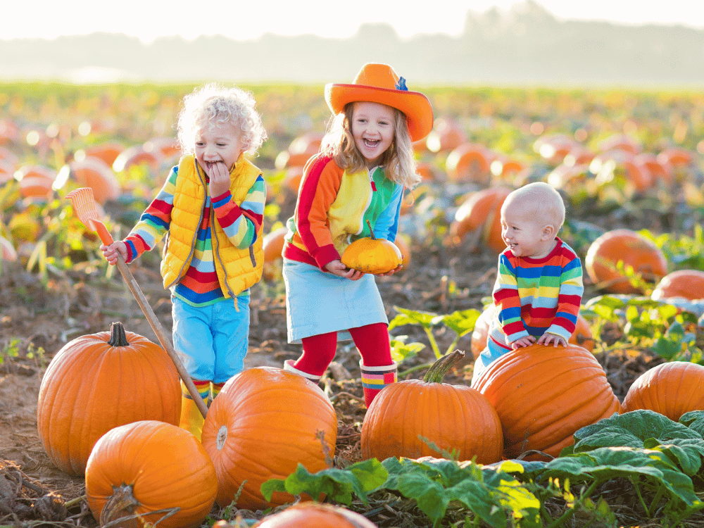 kids in a pumpkin patch