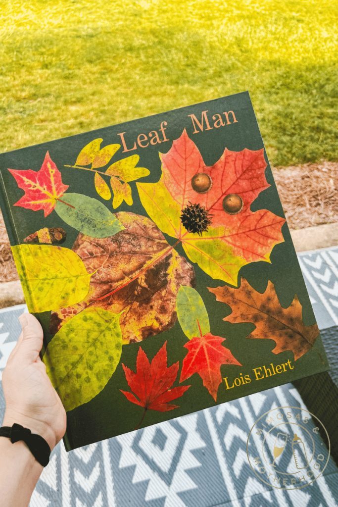 image shows the book Leaf Man by Lois Ehlert