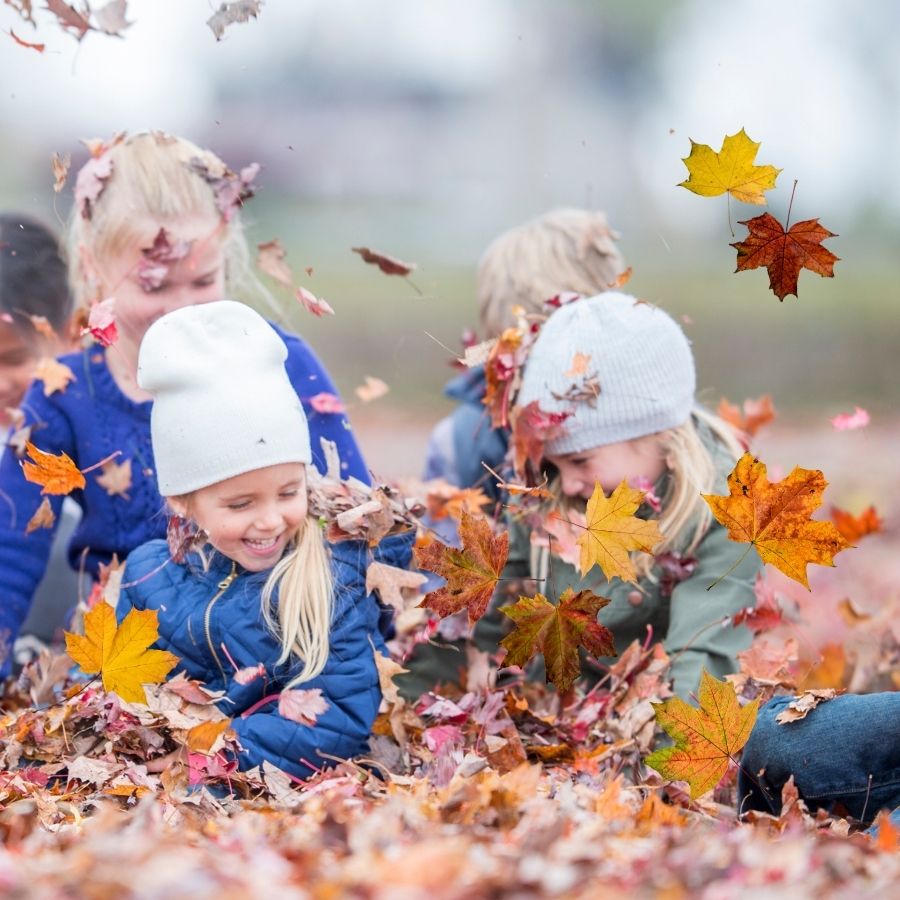 image shows children playing in leaves outside