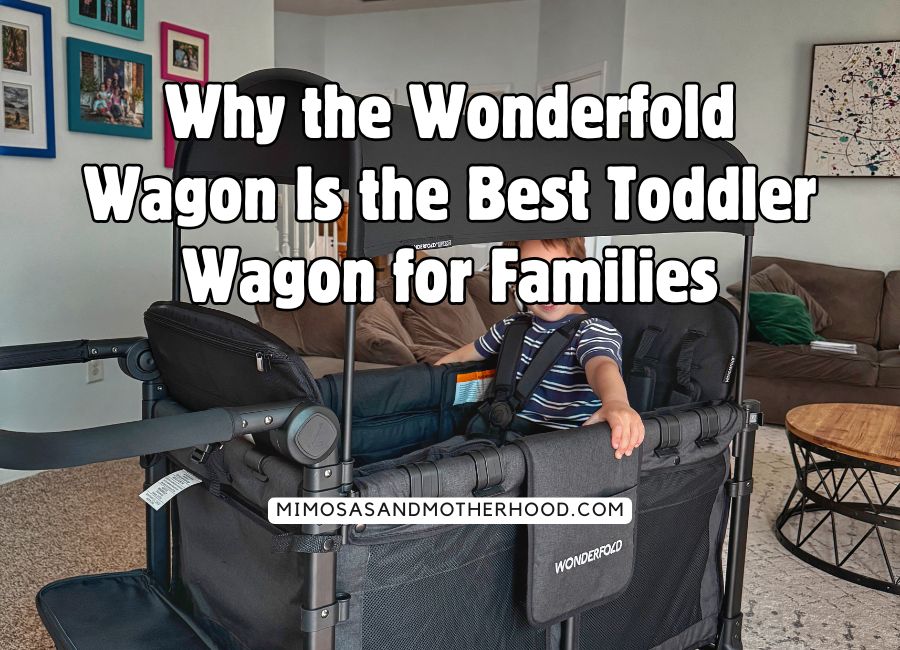 blog post title over a photo of the Wonderfold wagon