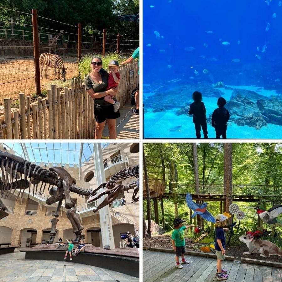four images of childrens activities in Atlanta