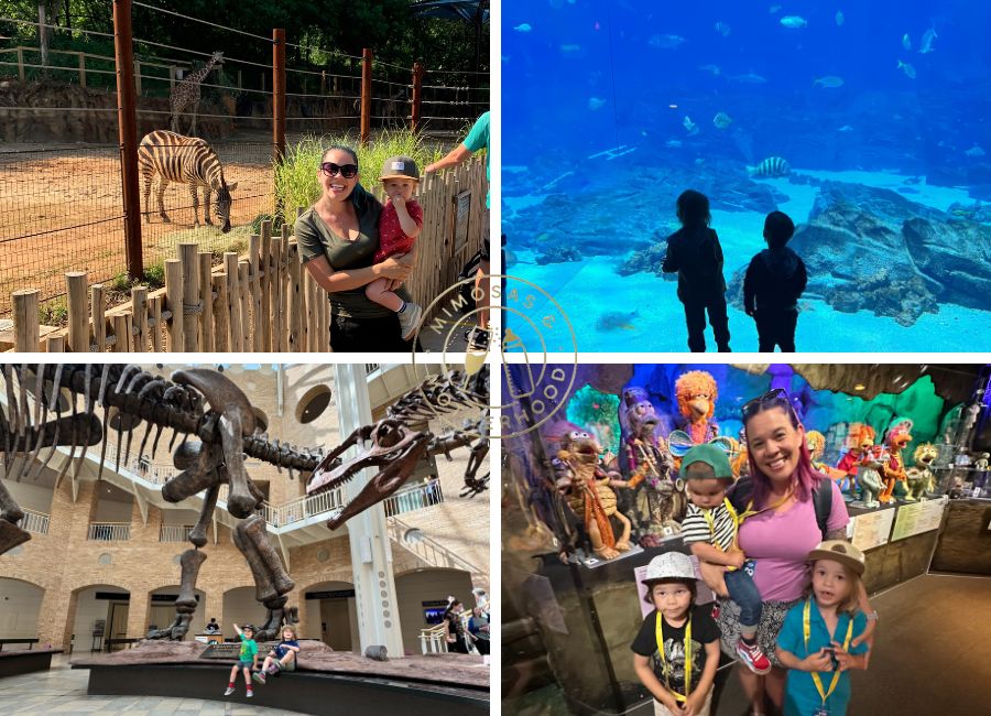 four images of a family enjoying different kid friendly activities in the Atlanta area