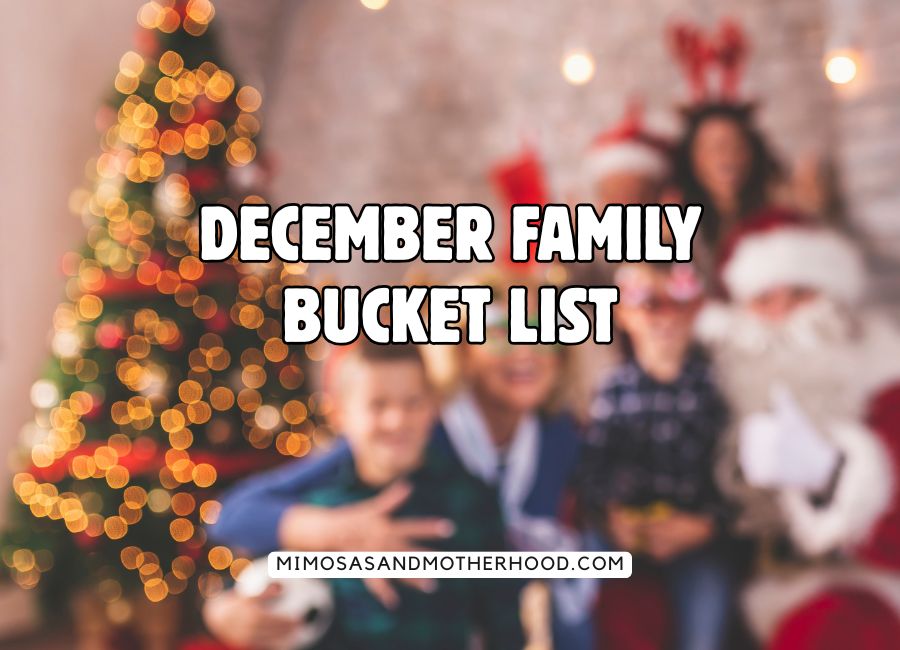 image shows a family with santa and blog post title