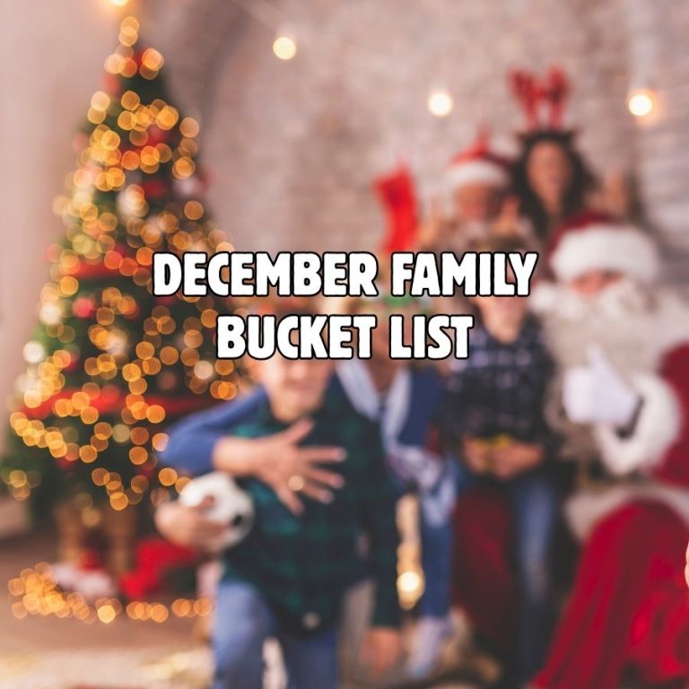 family with santa blurred