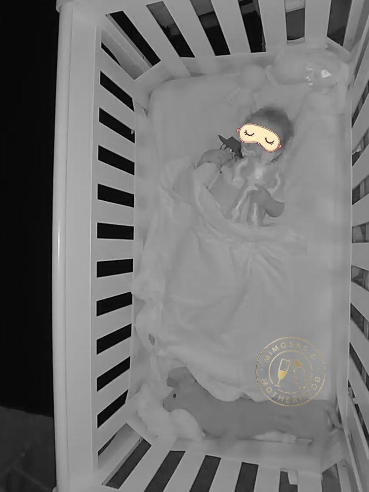 toddler asleep in their crib