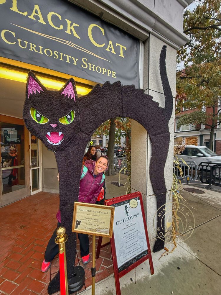 At Black Cat Curiosity Shoppe
