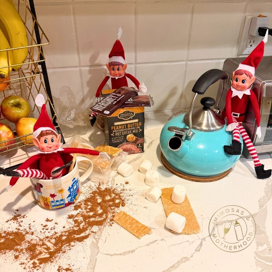 elf on the shelf in the kitchen