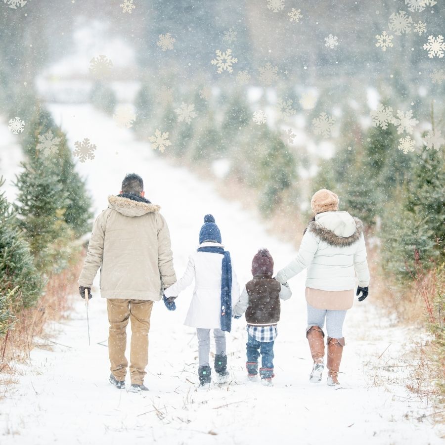 family walking in the snow