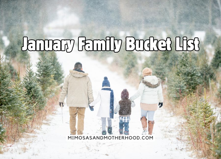 family walking in snow with blog post title over the image