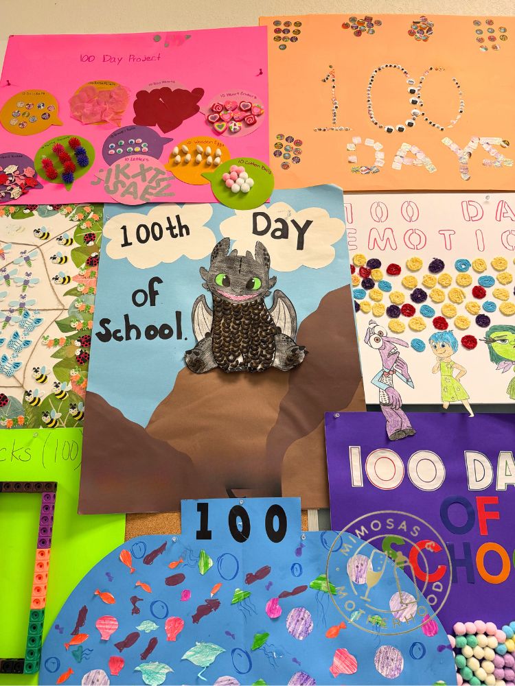 image shows 100 days of school projects
