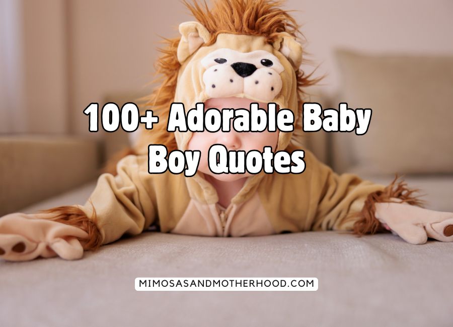 image shows a baby in a lion costume with blog post title