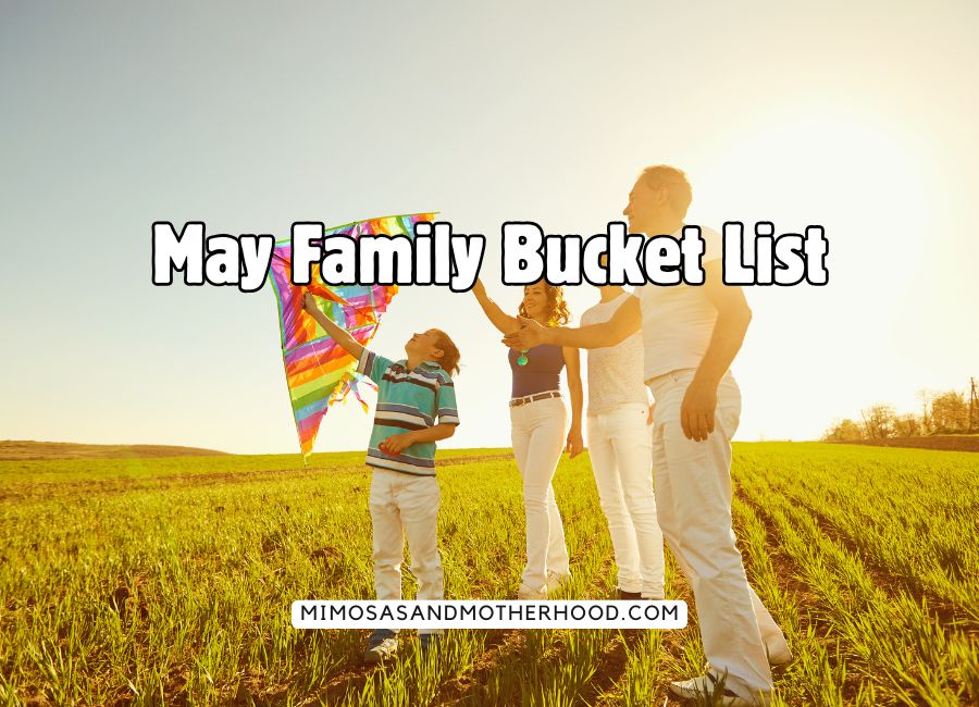 image shows a family flying a kite outside