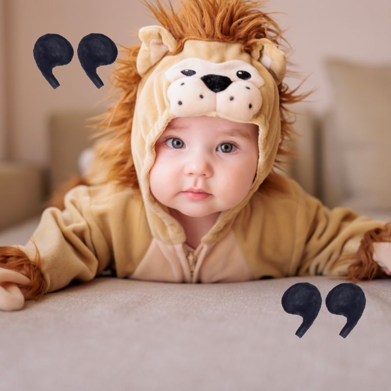 image shows baby boy in lion costume with quotation marks