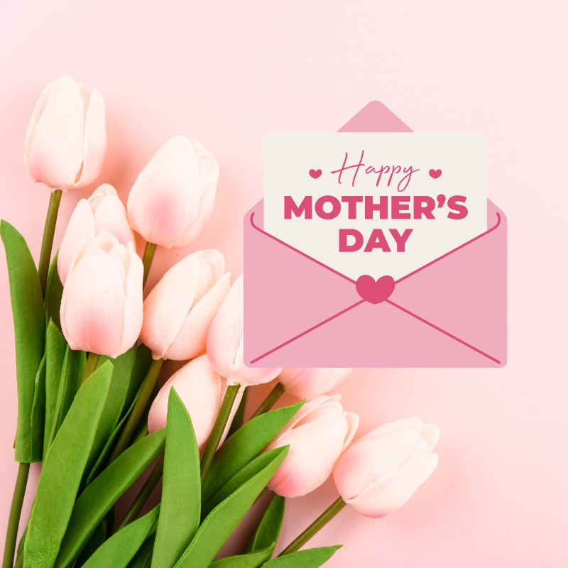 image shows pink tulips with a mothers day card